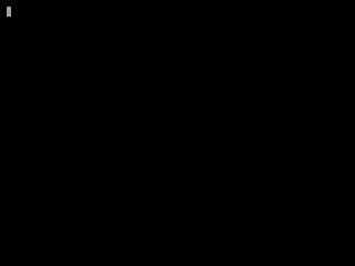 A blinking terminal cursor